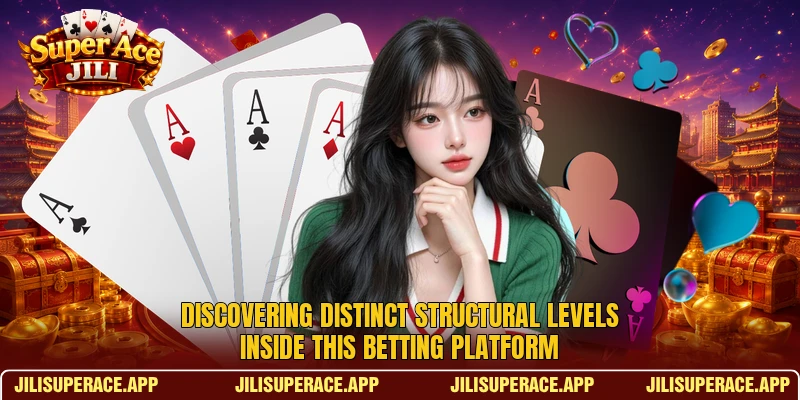 Discovering distinct structural levels inside this betting platform