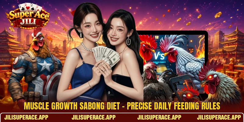 Muscle Growth Sabong Diet - Precise Daily Feeding Rules