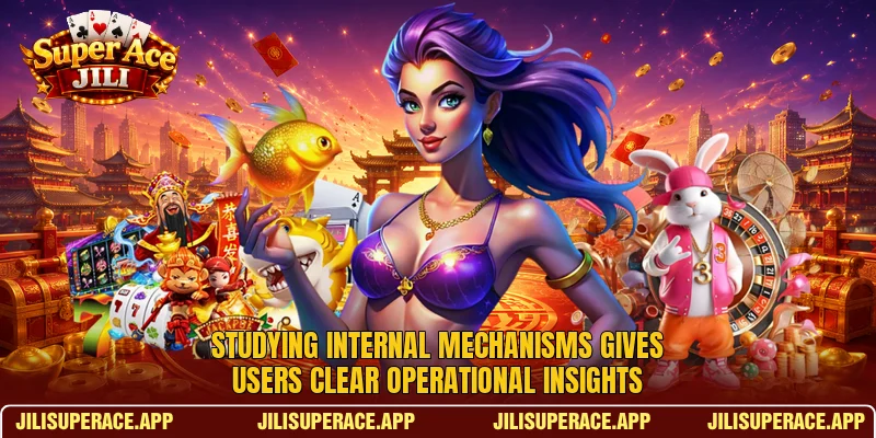 Studying internal mechanisms gives users clear operational insights