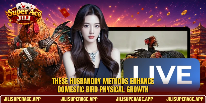 These husbandry methods enhance domestic bird physical growth